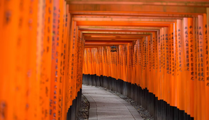 Contacto para viajar a Asia China 1